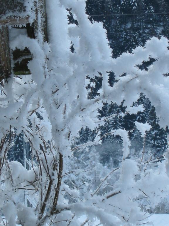 Berghaus Drei Tannen Hotel Oetz Esterno foto